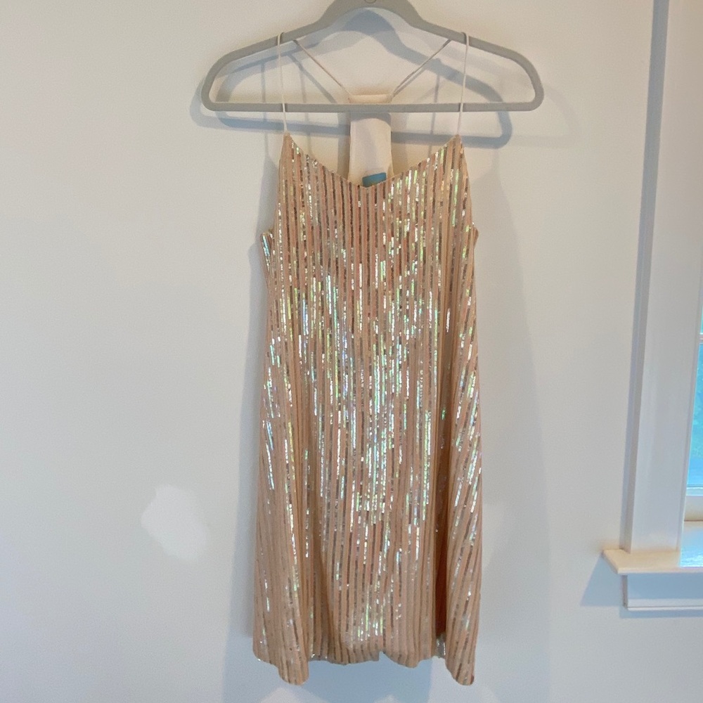 Sparkly Dress